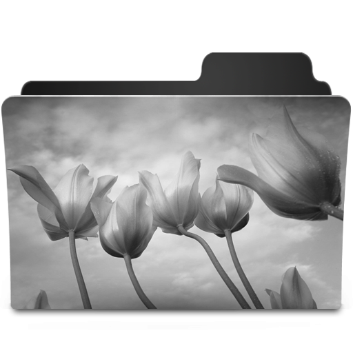 Tulips Black & White Icon 512x512 png